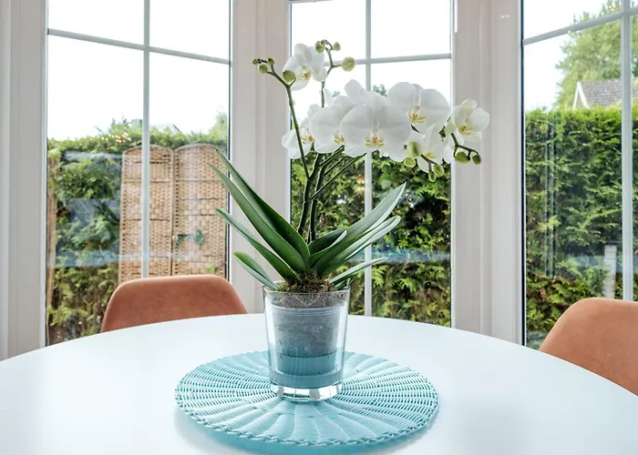 Carpe Diem * Timmendorfer Strand